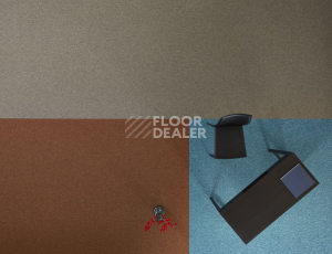 Bloq Tradition Tradition 210 фото 4 | FLOORDEALER